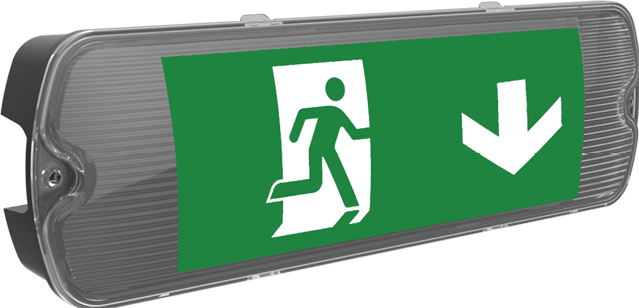 Exit Box and Hanging Exit Signs