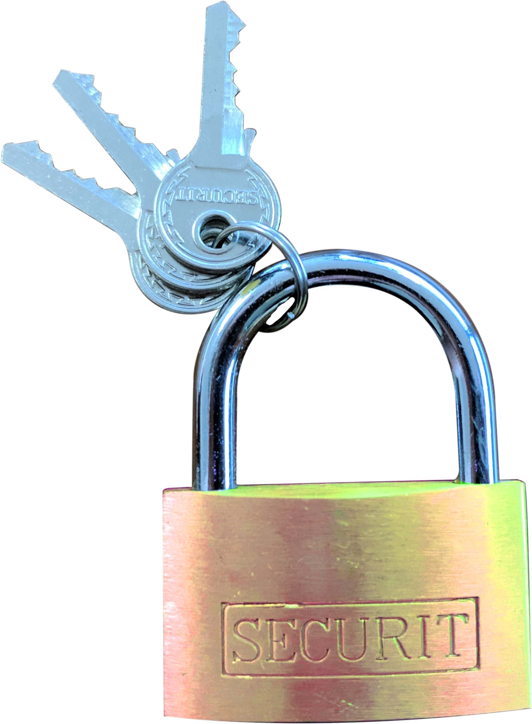 Deligo PL20 20mm Brass Padlock